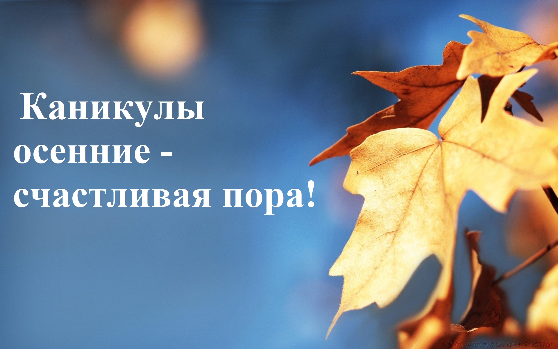 осенние каникулы